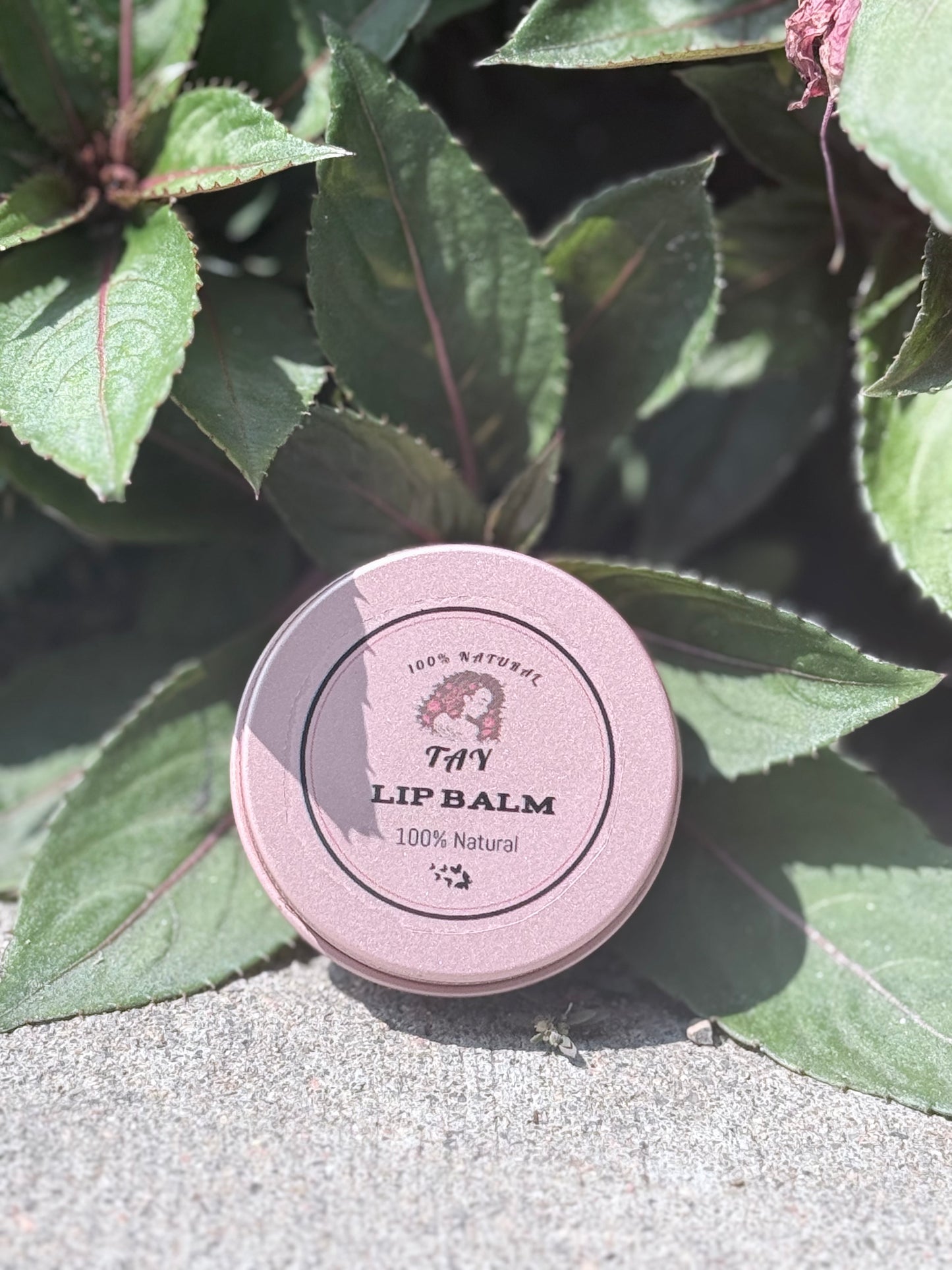 Natural Moisturizing Lip Balm