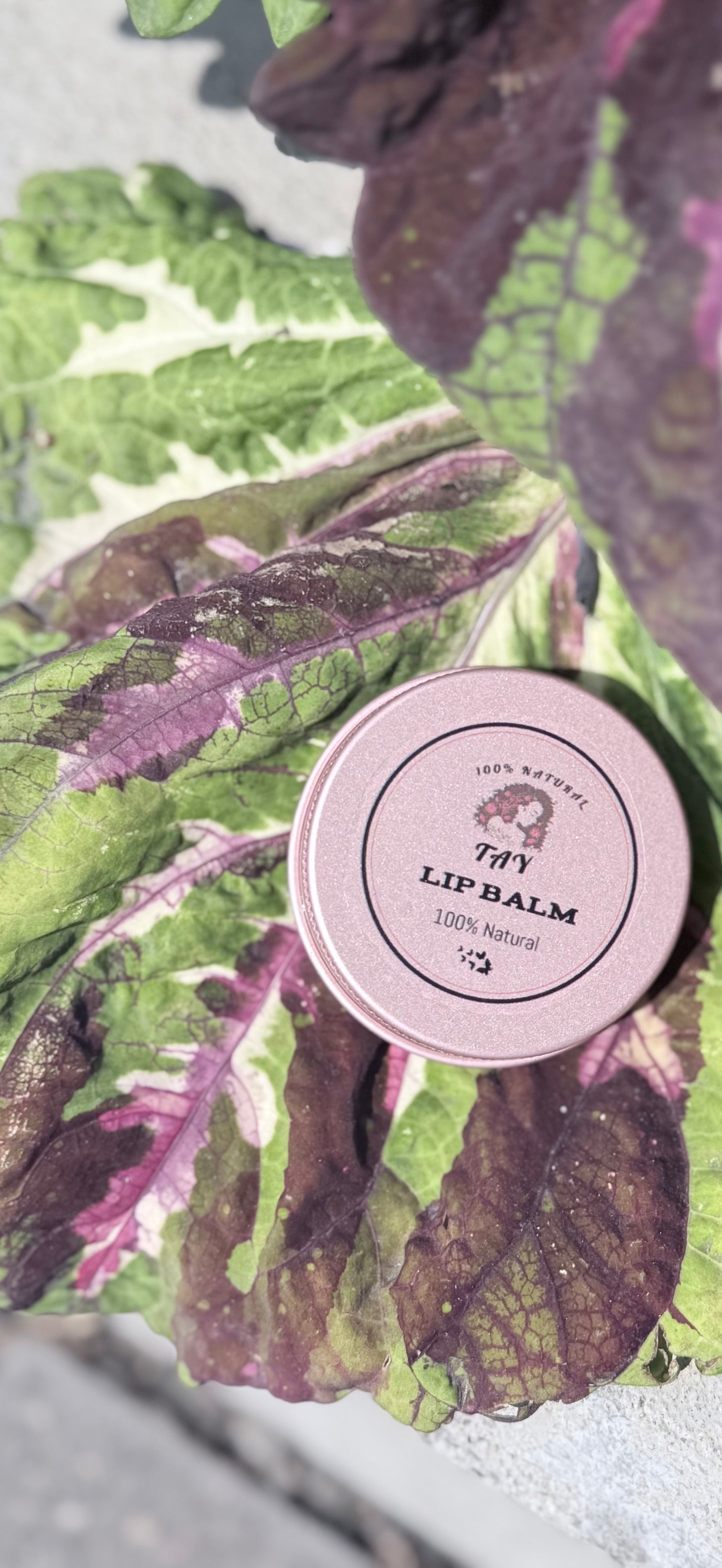 Natural Moisturizing Lip Balm