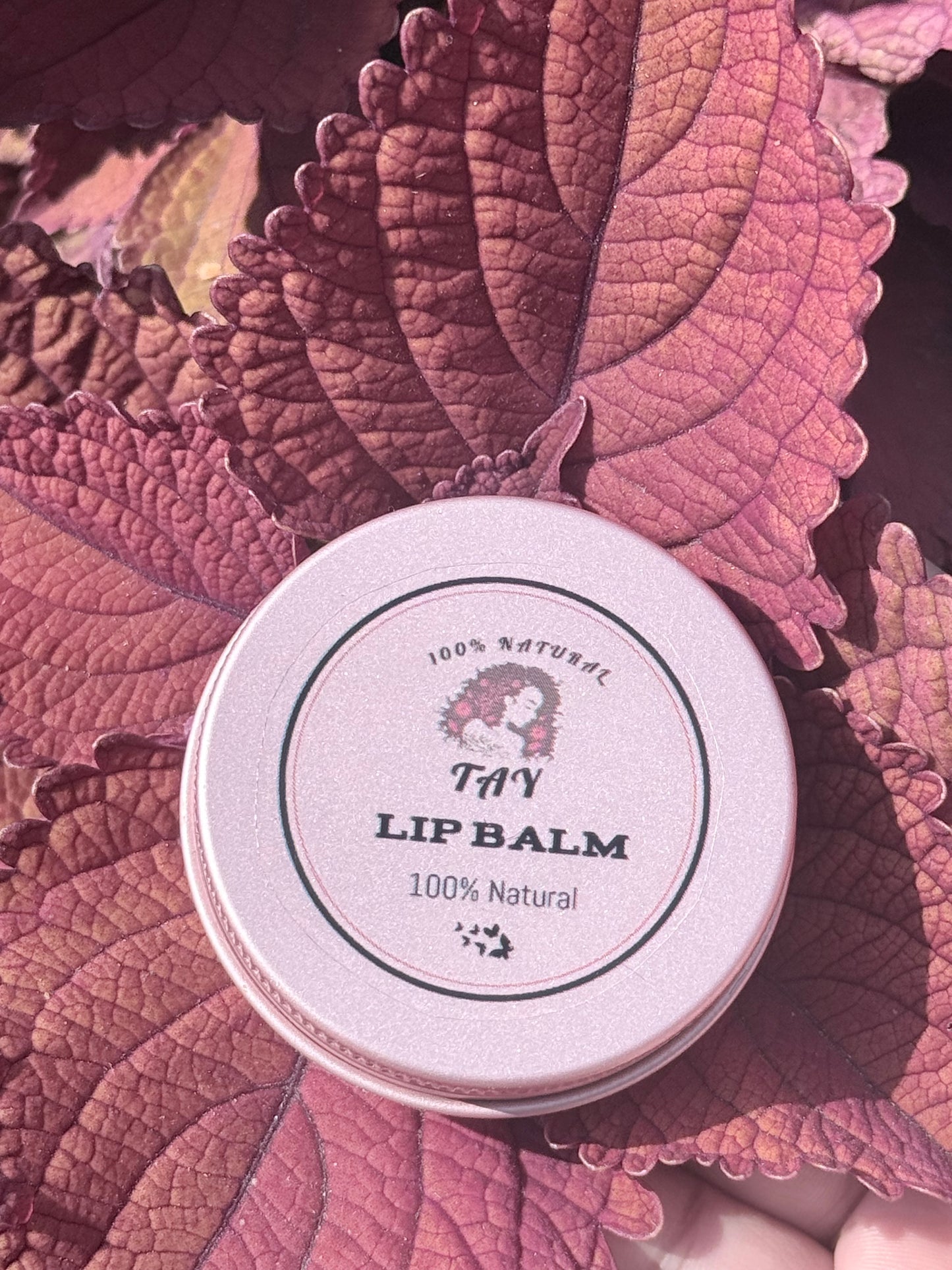 Natural Moisturizing Lip Balm